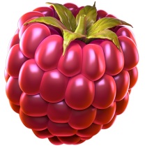 berry-burst-max-raspberry.jpg